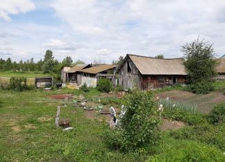 Погода суртайка алтайский край