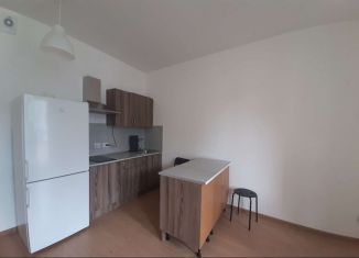 Сдаю в аренду квартиру студию, 31 м2, Мурино, Воронцовский бульвар, 20к3, ЖК Гринландия-2