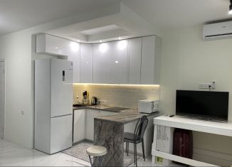 Сдача в аренду квартиры студии, 30 м2, Сочи, Курортный проспект, 96Гк1, микрорайон Приморье