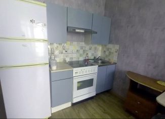 Продам квартиру студию, 26 м2, поселок Бугры, Воронцовский бульвар, 11к5, ЖК Светлановский