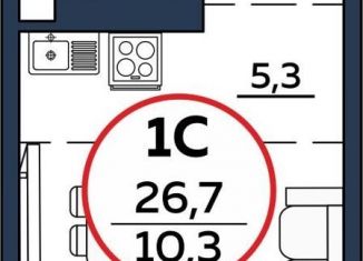 Квартира на продажу студия, 26.7 м2, Обь, Октябрьская улица, 5