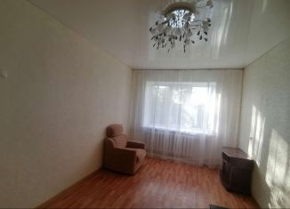 Продажа 1-комнатной квартиры, 29 м2, деревня Судислово, деревня Судислово, 97