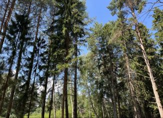 Продаю дом, 18 м2, деревня Плешково