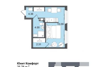 Продается квартира студия, 25.8 м2, Санкт-Петербург, метро Купчино, Витебский проспект, 99к1