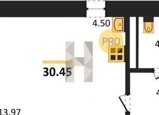 Продам квартиру студию, 30.4 м2, Новосибирск, Красный проспект, 167/3, ЖК Расцветай на Красном