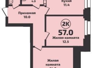 Продаю двухкомнатную квартиру, 57 м2, Новосибирск, Красный проспект, 329/1, ЖК Инфинити