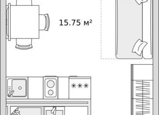 Продаю квартиру студию, 25.4 м2, деревня Новосаратовка