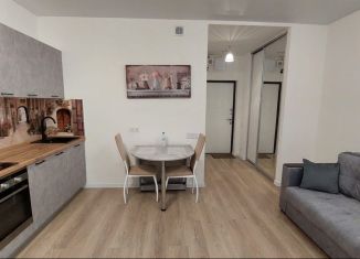 Сдаю квартиру студию, 24 м2, Мытищи, 1-й Стрелковый переулок, 1