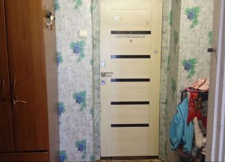 Продам 2-ком. квартиру, 54 м2, деревня Елембаево, Центральная улица, 21