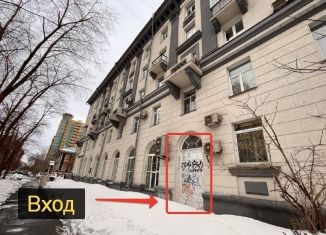 Сдам в аренду торговую площадь, 250 м2, Новосибирск, улица Ленина, 18, Железнодорожный район