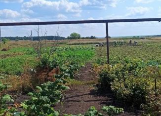 Продам дом, 40 м2, село Благодатка, Центральная улица, 77