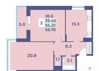 Продается двухкомнатная квартира, 66.7 м2, деревня Рогозинино, деревня Рогозинино, 5