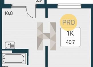 Продам 1-комнатную квартиру, 40.7 м2, Новосибирская область