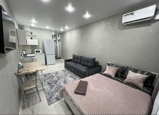 Сдается квартира студия, 30 м2, Казань, улица Александра Курынова, 4