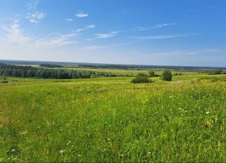 Продаю участок, 541 сот., село Палевицы, Набережная улица, 1