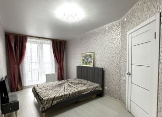 Сдача в аренду 1-ком. квартиры, 35 м2, деревня Куюки, Балтийская улица, 2