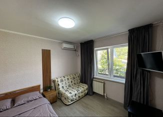 Сдам в аренду однокомнатную квартиру, 26 м2, Геленджик, улица Фрунзе, 19