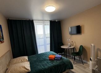 Квартира в аренду студия, 20 м2, Екатеринбург, микрорайон Светлый, 11