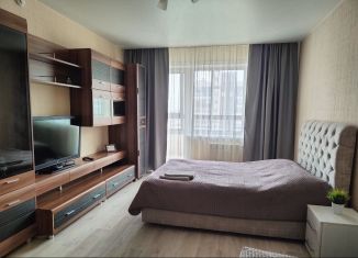 Сдается 1-ком. квартира, 41 м2, Новосибирск, Красный проспект, 305/1