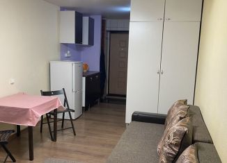 Квартира в аренду студия, 20 м2, Казань, улица Татарстан, 51