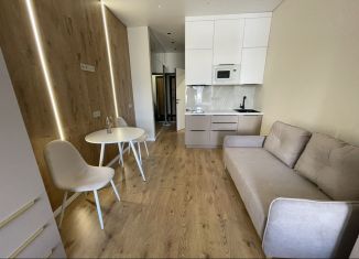 Продам однокомнатную квартиру, 29.9 м2, посёлок городского типа Дагомыс, Батумское шоссе, 28А, ЖК Аллея Парк