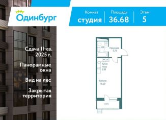 Продаю квартиру студию, 36.7 м2, Одинцово, ЖК Одинбург