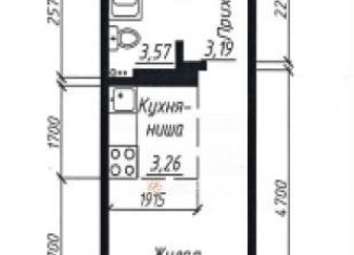 Квартира на продажу студия, 20.3 м2, Новосибирская область, улица Забалуева, с10