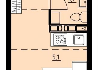 Продаю квартиру студию, 24.3 м2, село Фролы