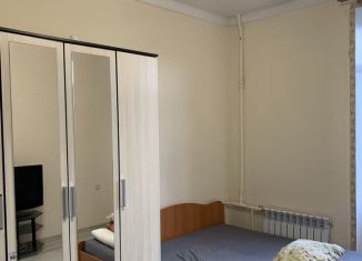 Комната в аренду, 16 м2, Санкт-Петербург, улица Бабушкина, 42к1, муниципальный округ Ивановский