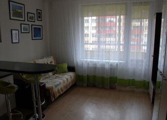 Квартира в аренду студия, 27 м2, Кудрово, Европейский проспект, 8