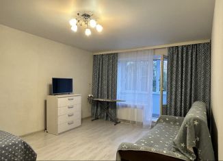 Аренда 1-комнатной квартиры, 40 м2, Москва, Днепропетровская улица, 5к5, метро Чертановская