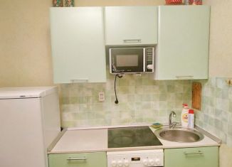 Аренда 1-комнатной квартиры, 30 м2, Новосибирск, улица Пархоменко, 98