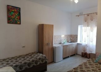 Сдается в аренду комната, 18 м2, поселок городского типа Заозерное, Каламитская улица, 2