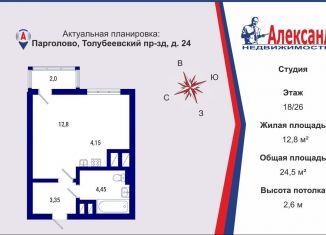 Продажа квартиры студии, 24.5 м2, посёлок Парголово, Толубеевский проезд, 24