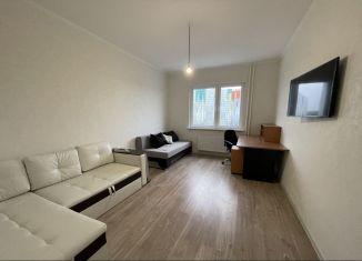 Сдам 2-ком. квартиру, 80 м2, деревня Голубое, Тверецкий проезд, 19