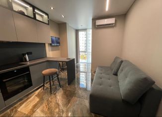 Продается однокомнатная квартира, 48 м2, Сочи, переулок Трунова, 6к3, микрорайон Завокзальный