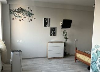 Сдаю квартиру студию, 30 м2, Старая Купавна, улица Чехова, 4