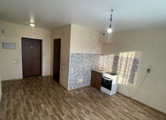 Продаю квартиру студию, 23 м2, деревня Кусаковка, Васильковая улица, 161Ак1