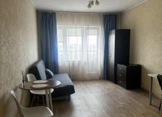 Квартира в аренду студия, 27 м2, Санкт-Петербург, Варшавская улица, 19к5