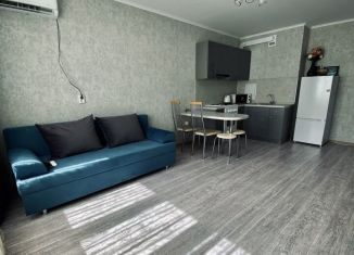 Сдача в аренду однокомнатной квартиры, 34 м2, Анапа, улица Адмирала Пустошкина, 16, ЖК Горгиппия Морская