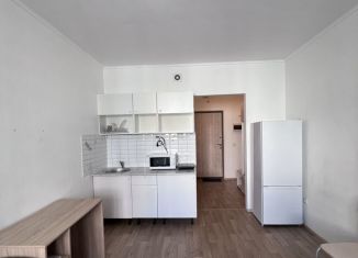 Продам квартиру студию, 20.3 м2, Кудрово, Английская улица, 2