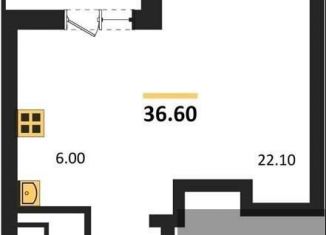 Продам квартиру студию, 36.6 м2, Воронежская область