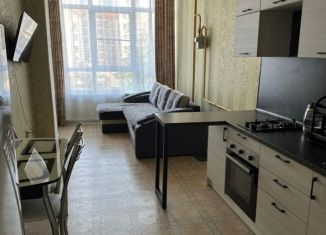 Сдам квартиру студию, 45 м2, Краснодарский край, Крымская улица, 19к4