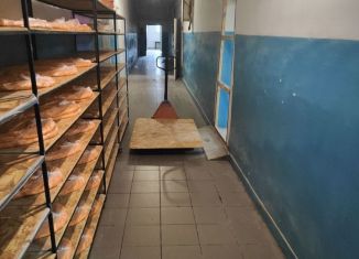 Сдача в аренду помещения свободного назначения, 200 м2, село Нижегородка, улица Кузнецовская Поляна, 5