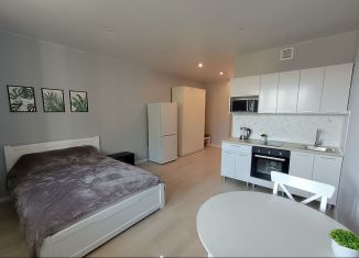 Сдам в аренду квартиру студию, 29.7 м2, Котельники, микрорайон Новые Котельники, 20