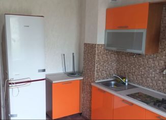 Сдача в аренду 3-ком. квартиры, 65 м2, Казань, проспект Победы, 42