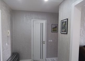 Сдается однокомнатная квартира, 50 м2, Елабуга, Интернациональная улица, 2А