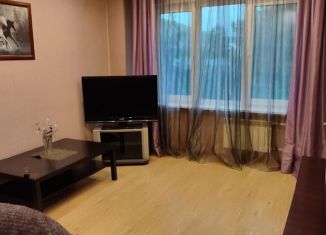 Сдается двухкомнатная квартира, 39 м2, Красноярск, Речной переулок, 3