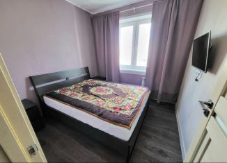 Аренда 3-ком. квартиры, 60 м2, Новосибирск, улица Дмитрия Шмонина, 7