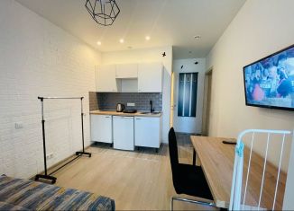 Аренда квартиры студии, 24 м2, Котельники, Сосновая улица, 1к3